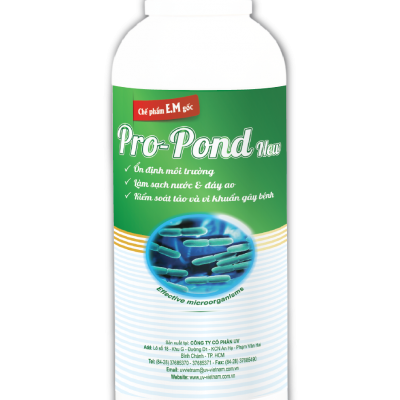 PRO - POND (chai)