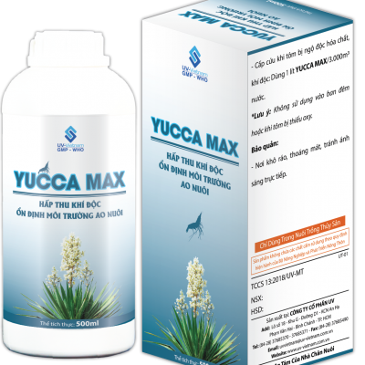 YUCCA MAX
