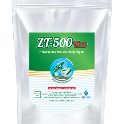 ZT - 500 new