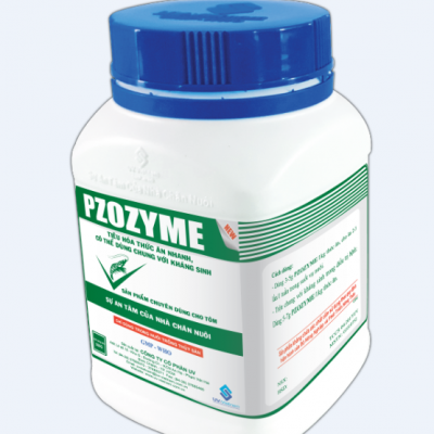 PROZYME
