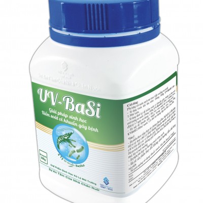 UV - BASI