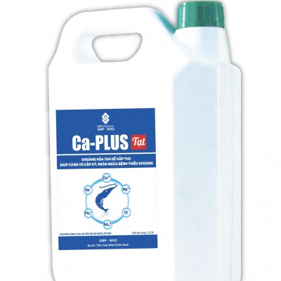 CA - PLUS TẠT
