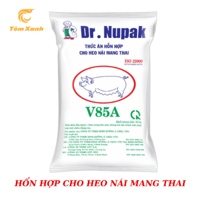 THỨC ĂN HỔN HỢP CHO HEO NÁI MANG BẦU V85A