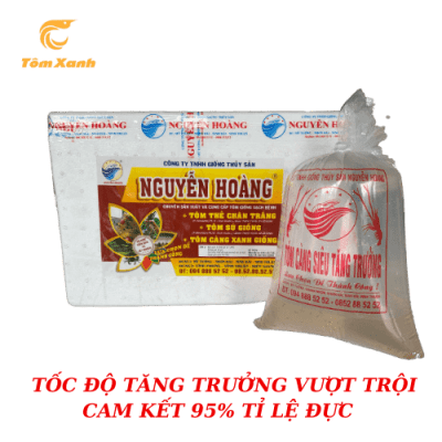 CÀNG SIÊU TĂNG TRƯỞNG