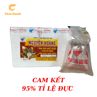 CÀNG SIÊU ĐỰC