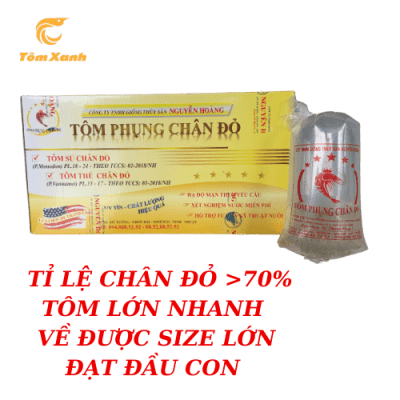 SÚ PHỤNG CHÂN ĐỎ