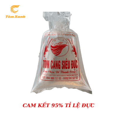 CÀNG SIÊU ĐỰC