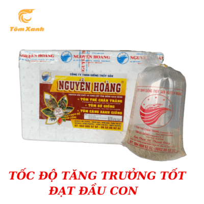 SÚ NGUYỄN HOÀNG