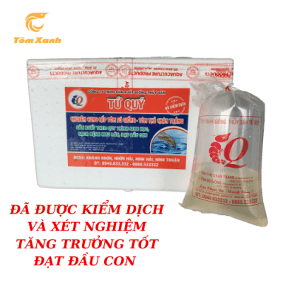 SÚ TỨ QUÝ