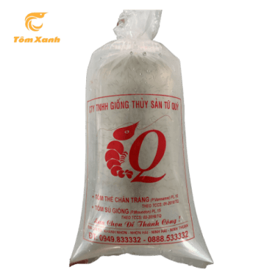 SÚ TỨ QUÝ