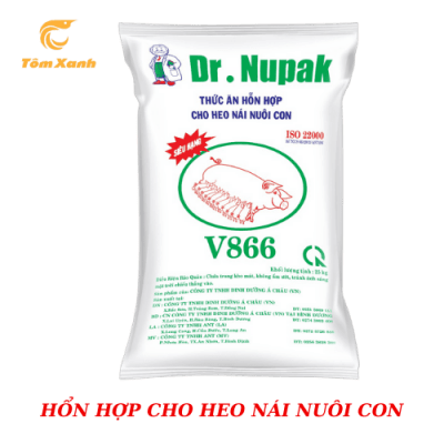 HỔN HỢP CHO HEO NÁI NUÔI CON