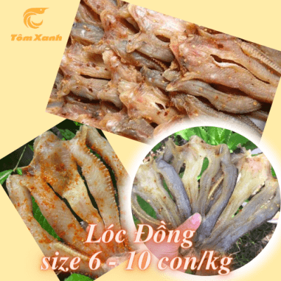 KHÔ CÁ LÓC ĐỒNG 3 NẮNG, SIZE 6 - 10 CON/KG