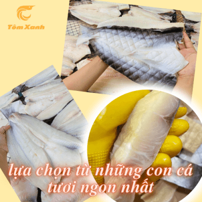 CÁ DỨA MỘT NẮNG