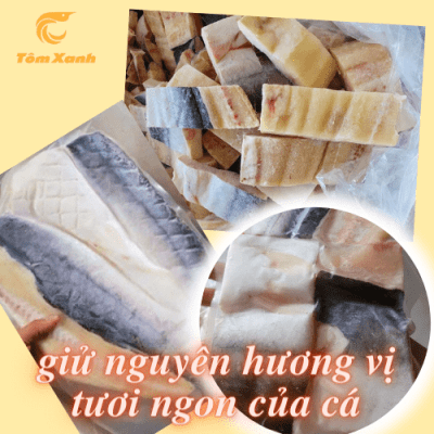 CÁ DỨA MỘT NẮNG