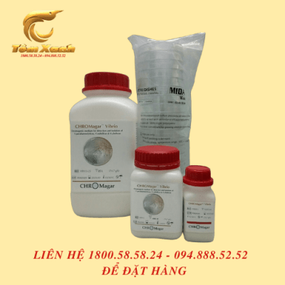 ĐĨA THẠCH CHROM AGAR