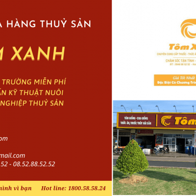 GIỚI THIỆU