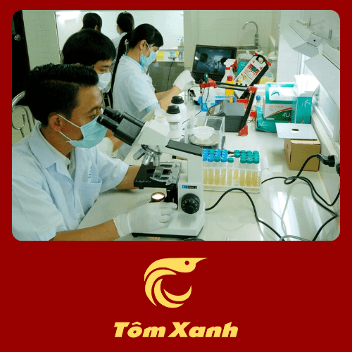 Kiểm Tra Nước