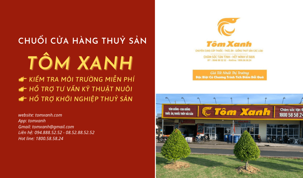 Trang chủ